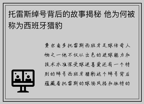 托雷斯绰号背后的故事揭秘 他为何被称为西班牙猎豹